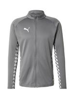 PUMA Sportinė striukė 'TeamLIGA26' pilka / balta