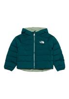 THE NORTH FACE Laisvalaikio striukė 'PERRITO' benzino spalva / pastelinė žalia