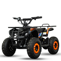 Elektrinis keturratis Mankius Tiger 1000w 36V(3-7m)