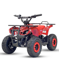 Elektrinis keturratis Mankius Tiger 1000w 36V(3-7m)