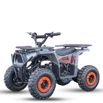 Elektrinis keturratis Mankius NEW Tiger 1000w 36V(3-8m)