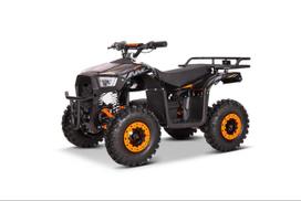Vaikiškas Elektrinis keturratis Monkey Clarx E4 36V 1000W