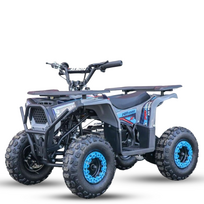 Elektrinis keturratis Mankius NEW Tiger 1000w 36V(3-8m)
