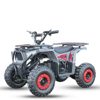 Elektrinis keturratis Mankius NEW Tiger 1000w 36V(3-8m)