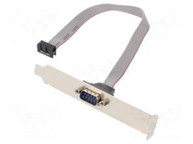 Adapter | 10pin IDC,D-Sub 9pin plug | 0.25m | brackets on slot