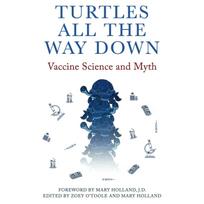 Turtles All The Way Down Paperback by Anonymous UKN1658