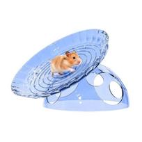 Tylus žiurkėno bėgimo ratas Skraidanti lėkštė Hamsterio ratas su slėptuve 2-in-1 Stabilus saugus žiurkėno mankštos ratas smiltpelėms, deguoninėms, mažiems augintiniams mėlyna
