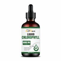 RunNabit Liquid Chlorophyll Drops 6000mg | Natural Detox & Energy Booster | 100% Vegan Antioxidant for Glowing Skin, Fresh Breath & Immunity Sup