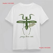 Pray Love Eat Praying Mantis Insect Graphic T-shirt L gray