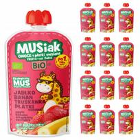 Mikstų obuolių, bananų, braškių ir avižų BIO tyrių rinkinys, 13 vnt.