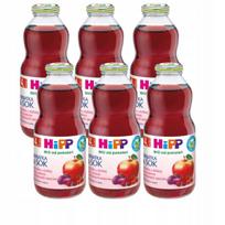 Ekologiška HiPP erškėtuogių arbata su vaisių sultimis, nuo 4 mėn., 6 x 500 ml