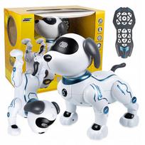 Programuojamas RC robotas šuo su balso valdymu ir pulteliu