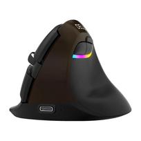 Delux M618Mini auksinė ergonominė pelė (USB / Bluetooth / 2.4G)