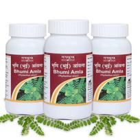 Tansukh Bhumi Amla Powder - Pack of 3 (100g Each) Bhumyamalaki Keelanelli Phyllanthus Niruri Churna | Supports Liver Functioning And Digestive S