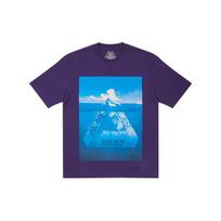 Palace Berg-Ferg T-shirt Purple Unisex Streetwear P21TS187 S blue