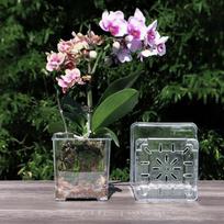 Skaidri Medžiaga Akrilinis Sodinimo Puodas Pralaidus Drenažo Anga Skaidrus Gėlių Vazonas Daugkartinio Naudojimo Specialus Orchidejų Vazonas gray
