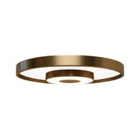 Sieninė plaukiojanti lentyna su įmontuotais šviestuvais, moderni augalų ekspozicijos lentyna, erdvę taupantis tvirtinimas, svetainei ir miegamajam One Size brown