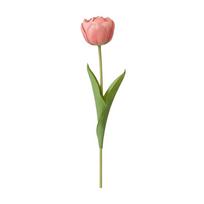 Silk Artificial Tulip Bouquet Floral Arrangement Realistic Simulation Flowers DIY Flower Artificial Flowers Photography Props tamsiai rausva spalva