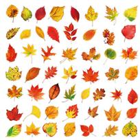 50 Pcs Nature Scenery Sticker Set for Journaling and Scrapbooking one size raudona