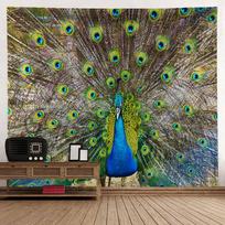 Peacock Elk Simple Art Tapestry Wall Hanging Bohemian Style Psychedelic Witchcraft Art Cartoon Home Background Wall Decoration 100X70CM