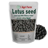Iagrifarm Kamal Gatta Seed -100 gram or 90 Seeds (Water Lotus or Makhana Seed) for Pooja to Laxmi Goddess for Wealth & Prosperity & Germination for gray