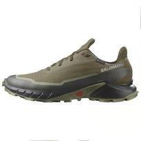 SALOMON Alphacross 5 GORE-TEX 'Olive Night Black' L47310300 46 žalia