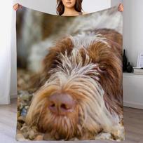 Lying down Spinone Throw Blanket Cozy Throw Blanket Birthday Gift for Him Her 102x76cm(40x30in) gray