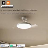 Xiaomi Mijia 42-inch Ceiling Fan Light gray