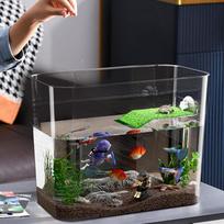 Betta žuvų akvariumas Skaidrus stalinis akvariumas Vėžlių akvariumas Pradedančiojo dekoratyvinės žuvys dubuo Daugiafunkcinės zonos Mažas akvariumas Akvariumas spain gray