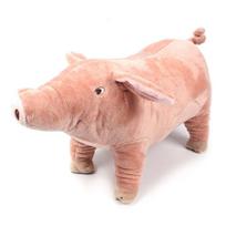 Indoor Play Molar Tooth Puppy Dog Sleeping Toy Dog Chew Toys Chew Training Toy Pet Supplies rožinė
