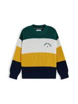 TOMMY HILFIGER Megztinis tamsiai mėlyna jūros spalva / garstyčių spalva / smaragdinė spalva / balta