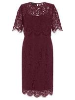 APART Suknelė vyno raudona spalva
