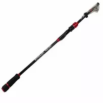 Teleskopinė meškerė Pro FL Intro Telespin 2,5/3m 10-40g