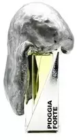 Filippo Sorcinelli Unisex Vento Forte Extrait De Parfum Purškiklis 17 Oz