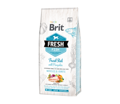 Brit Fresh Fish with Pumpkin Adult Large sausas maistas didelių veislių šunims su žuvimi ir molūgu 2,5kg. - 12kg. 2.5 kg