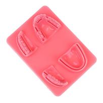 Dantenų odos siuvimo chirurginės praktikos medicininis odos siuvimo padėklas laboratorinis modelis silikoninis periodontito siuvimo modelis mokymo rinkinys 1pcs red