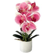 Dirbtinė orchidėja vazone Realistiškas dizainas Minkšto klijų gėlė Namų Biuro Renginių Dekoravimui Baltos Rožinės Juodos Spalvos Variantai