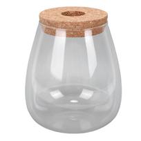 Hydroponic Container Vase Glass Plant Terrarium Jar for Desks Houses Garden Decorations Home Oval white