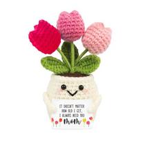 Positive Crochet Tulip Wildflower Thank You Gifts for Women Mom Friends Handmade Potted Flower Doll with Card Emotional Support Gift for Mother's Day red