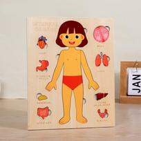Human Body Puzzles for Kids Wooden Montessori Anatomy Puzzle Play Set Human Body Model Educational Game for Preschoolers orange