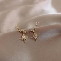 Simple and Delicate Crystal Temperament Drop Earrings Female Korean Style Small Earrings AVE auksas