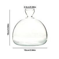 Avocado Seed Starter Transparent Glass Vase For Growing Plant Gardening Lover DIY Kit Home Decoration Gift Idea white