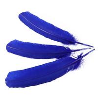 Multicolour Goose Plumes, Turkey Pointers, Quill Large Feathers for Crafts Jewelry Making Costume 25-35CM Plumas Decorativas 20 pcs karališkos mėlynos spalvos