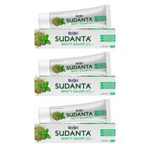 Sri Sri Tattva Sudanta Minty Saunf Gel Toothpaste | Herbal Actives for Fresh Breath & Gum Health | Sulphate-Free, Non-Fluoride, Ayurvedic Oral Care white