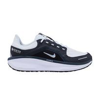 Nike Winflo 11 Gore-Tex Anthracite Black Photon Dust Metallic Silver 44 black