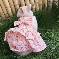 Pet rabbit clothing towing rope rabbit rabbit dragon cat Dutch pig kitten outdoor clothing countryside floral design (as the picture,S) white