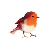 Realistic Small Robin Wall Sticker Window Sill Window Decal for Bedroom Living Room Door Kindergarten Decor 10x10CM įvairiaspalvis