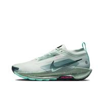 Nike Pegasus Trail 5 GORE-TEX Light Silver Clay Green Men Sneakers Teal Mint-Foam Seaweed FQ0908-013 44 gray