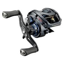 Daiwa Steez A TW HLC meškerės ritė 8.1R gray