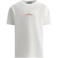 Stone Island T-Shirt With Back Graphic Print Round Neck Short Sleeve Kids Tops White 781621055-V0001 10 gray